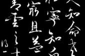 用“达人知命”造句