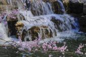 用“桃花潭水”造句