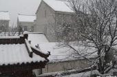 用“雪片”造句