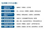 用“七大八小”造句