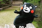 用“管他”造句