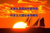 用“毛概”造句