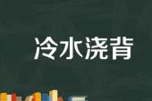 用“冷水浇背”造句