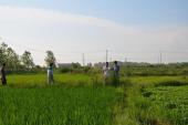用“租地”造句
