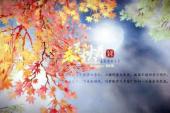 用“秋月春花”造句