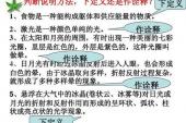 用“下定义”造句