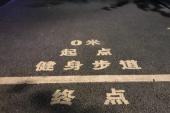 用“起跑点”造句