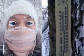 用“冻坏”造句