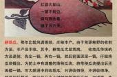 用“荒唐事”造句