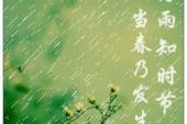 用“好雨”造句