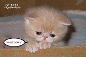 用“惊怕”造句