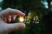用“慈悲心”造句