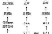 用“病因”造句