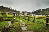 用“村头”造句