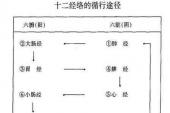 用“十二经脉”造句