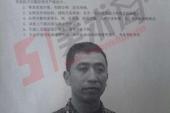 用“比年”造句