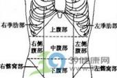 用“下腹”造句