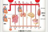 用“静息”造句