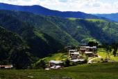 用“大山里”造句
