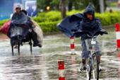 用“顶风冒雨”造句