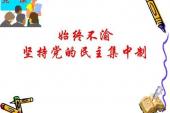 用“民主集中制”造句