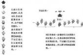 用“战斗队形”造句