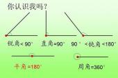 用“周角”造句