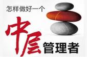 用“中层”造句