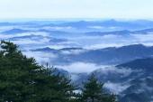 用“大别”造句