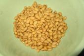 用“豆粒”造句