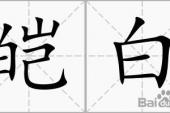 用“皑白”造句