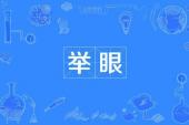用“举眼”造句