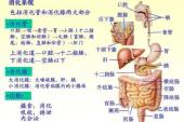 用“回肠”造句