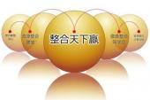 用“资源整合”造句