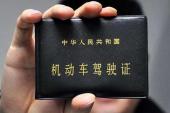 用“驾照”造句