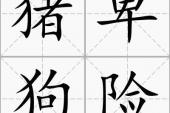 用“猪卑狗险”造句
