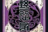 用“野心家”造句
