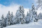 用“积雪”造句