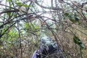 用“荆棘满途”造句