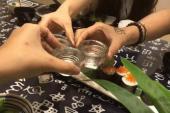 用“未可厚非”造句