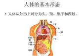 用“生理特点”造句