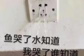 用“谁知道”造句