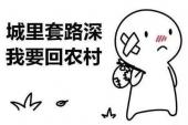 用“要回”造句