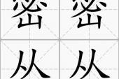 用“密密丛丛”造句