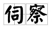 用“伺察”造句