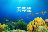 用“溜掉”造句