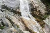 用“显山露水”造句